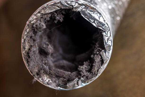 Best Dryer Vent Cleaning Services  in Ashaway, RI